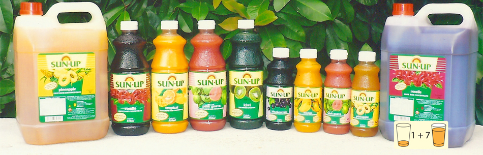 Sun Up Juice Purees and Concentrates 850ml bottles
